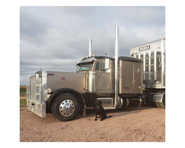 A brown Peterbilt semi-truck attached to a silver livestock trailer with the name 