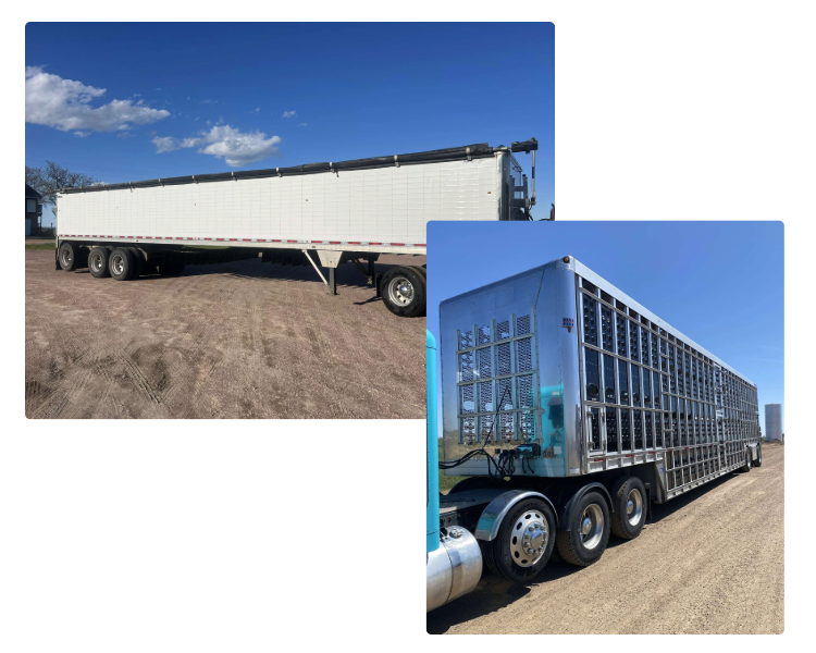 Sierra Trucking LLC Digital Brand-22